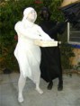 /album/performance/imag3e-jpg/